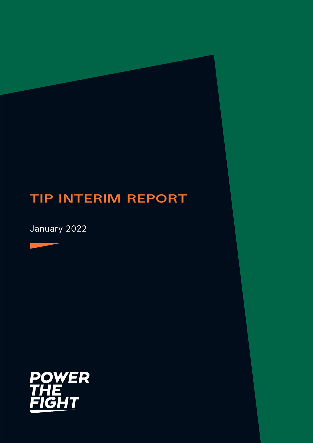 TIP Interim Report