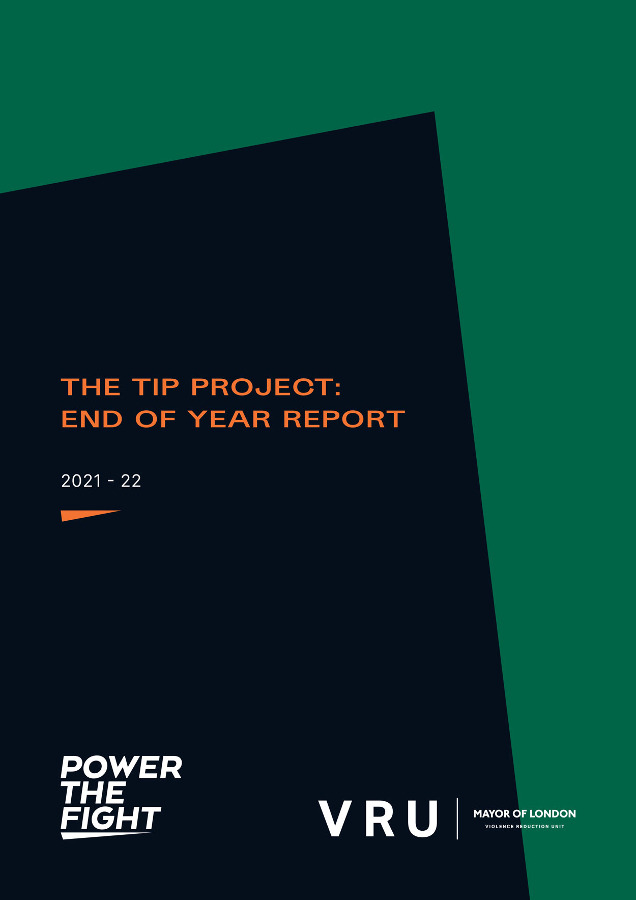 The TIP Project: End of Year Report